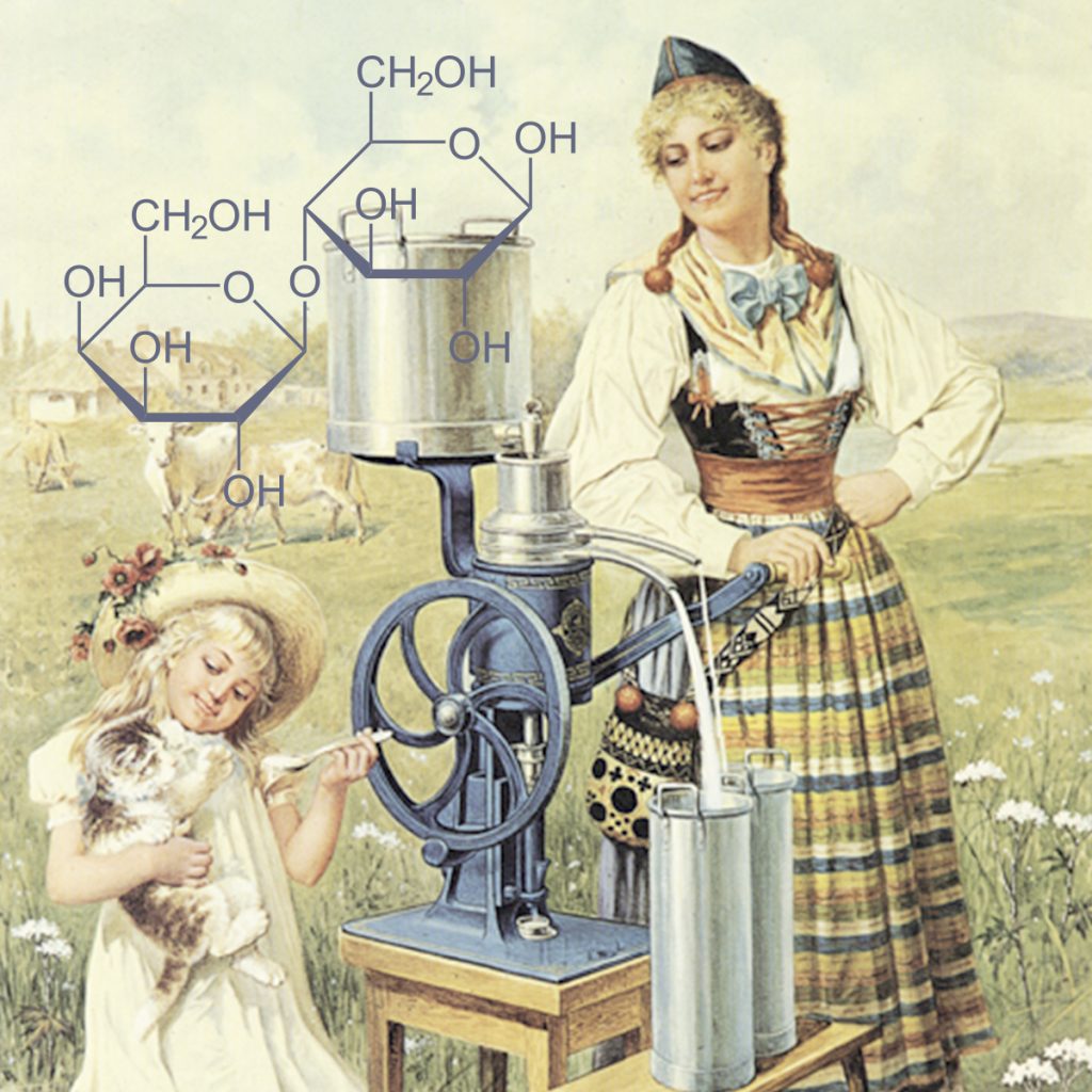 Lactose Intolerance And Your Genes Direction